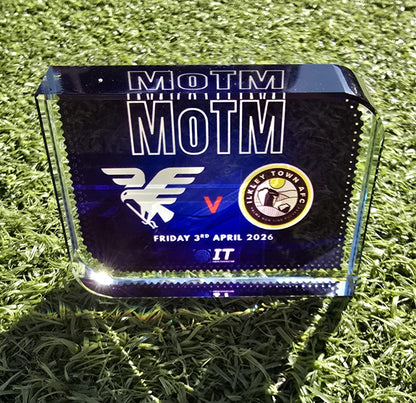 Curved Edge - Crystal Block Award - Small